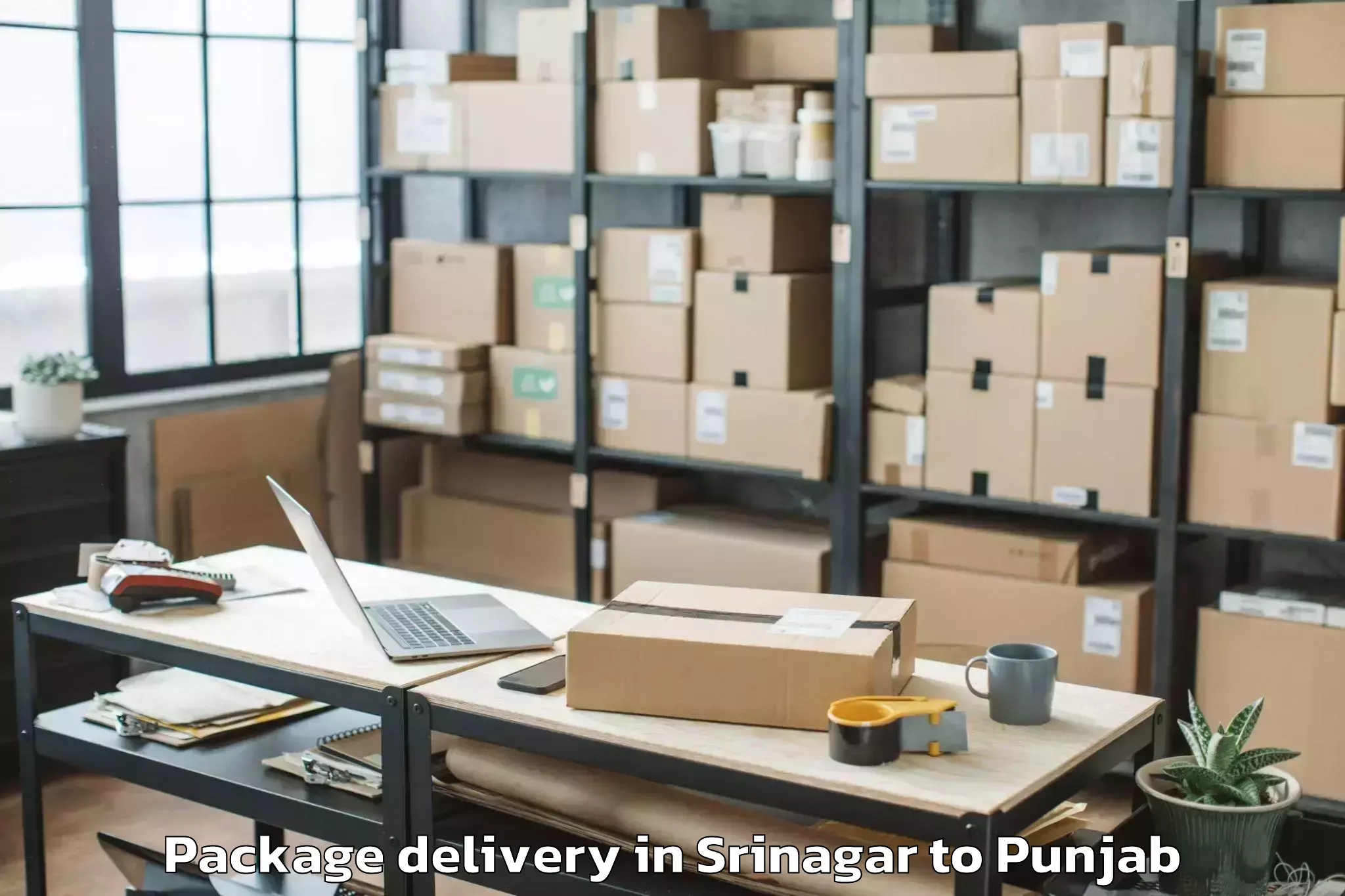 Professional Srinagar to Sirhind Fatehgarh Package Delivery